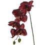Orquídea Phalaenopsis artificial LARDUEN, rojo burdeos, 80 cm