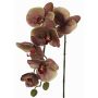 Orquídea Phalaenopsis artificial LARDUEN, violeta-verde, 75cm, Ø10cm