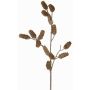 Rama decorativa de pino LONGIH con piñas, marrón-blanco, 75cm