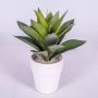 Agave artificial DESIREE, macetero de terracota, verde, 30cm, Ø25cm