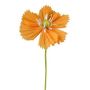 Flor decorativa WENFRIN de papel, albaricoque, 45 cm
