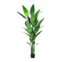 Planta artificial canna TAFRO, verde, 210 cm