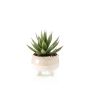 Suculenta artificial dracaena NORSHU en maceta decorativa, verde-rojo, 20 cm