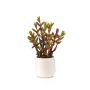 Suculenta artificial Sedum reflexum CYVAST en maceta decorativa, verde-rojo, 27 cm