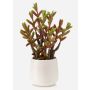 Suculenta artificial Sedum reflexum CYVAST en maceta decorativa, verde-rojo, 27 cm