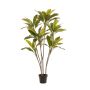 Planta artificial Cordyline MEIKE, troncos artificiales, maceta decorativa, verde, 160 cm