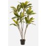 Planta artificial Cordyline MEIKE, troncos artificiales, maceta decorativa, verde, 160 cm