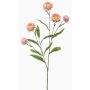 Rama decorativa Flor de paja SNAVIK, rosa, 70 cm