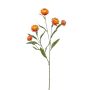 Rama decorativa de flor de paja SNAVIK, naranja, 70 cm