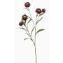 Rama decorativa de flor de paja SNAVIK, morada, 70 cm