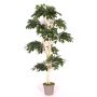 Ficus artificial YAIZA, tronco real, verde, 185 cm - Fabricado en Italia