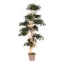 Árbol decorativo arce japonés SLAWIK, tronco real, verde, 185 cm - Fabricado en Italia