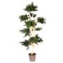 Árbol artificial acacia BOHDAN con tronco natural, crossdoor, verde, 185 cm - Fabricado en Italia