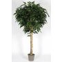 Longifolia artificial YANIRA, tronco real, verde, 175 cm - Fabricado en Italia