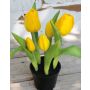 Tulipán artificial CAITLYN en maceta decorativa, amarillo-verde, 25cm, Ø2-6cm