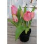 Tulipán artificial CAITLYN en maceta decorativa, rosa-verde, 25cm, Ø2-6cm