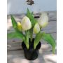 Tulipán artificial CAITLYN en maceta decorativa, blanco-verde, 25cm, Ø2-6cm