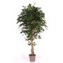 Ficus Benjamini artificial YANEXY, troncos naturales, verde, 175 cm - Fabricado en Italia