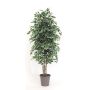 Ficus Benjamini decorativo KONRADE, troncos reales, verde-blanco, 300 cm - Fabricado en Italia