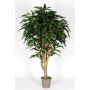 Longifolia decorativa RAFIKO, troncos naturales, verde, 175cm - Fabricado en Italia