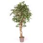 Ficus Benjamini artificial YANEXY, troncos naturales, verde-blanco, 175 cm - Fabricado en Italia