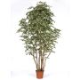 Ficus benjamini artificial MIMITIGO, troncos reales, verde-blanco, 250 cm - Fabricado en Italia