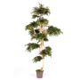 Árbol decorativo arce japonés AFANAS, tronco natural, verde-rojo, 250 cm - Fabricado en Italia