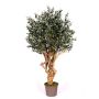 Olivo artificial COTARIO, tronco real, con frutos, 200 cm - Fabricado en Italia
