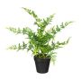 Planta artificial helecho FARNIS, maceta decorativa, verde, 40 cm