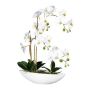 Orquídea Phalaenopsis artificial JELTRON, recipiente de cerámica, raíces, blanco, 60 cm