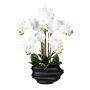Orquídea Phalaenopsis artificial ZALBROK, jarrón decorativo negro, raíces, blanco, 75 cm