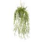 Maceta colgante artificial Rhipsalis SKRAKY, maceta decorativa, colgante, verde, 60 cm
