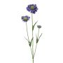 Rama decorativa de scabiosa ATLENTO, lila, 65 cm