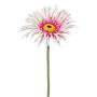 Flor decorativa gerbera FELISY, rosa y blanca, 65 cm