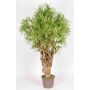 Dracaena Reflexa Jamaica KAREG artificial, tronco real, verde-amarillo, cruzado, 225 cm - Fabricado en Italia