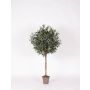 Olivo artificial MILINO, tronco natural, con frutos, 125 cm - Fabricado en Italia
