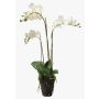 Orquídea Phalaenopsis artificial PABLA bola tierra, blanco, 70cm, Ø8-10cm