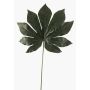 Hoja de aralia artificial FARIS, verde, 55cm