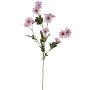 Marguerita artificial FENAS, rosa-blanco, 65 cm