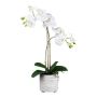 Orquídea Phalaenopsis textil GROTVER, maceta de cerámica, raíces, blanca, 50 cm