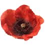 Amapola artificial FASDIN, roja, 75 cm