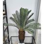 Palmera artificial Cycas WERFLI en maceta decorativa, 110 cm