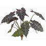 Alocasia Sanderiana artificial AINARA, verde-blanco, 60cm