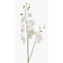 Rama orquídea Phalaenopsis artificial LAHNA, blanco, 95cm, Ø5-10cm