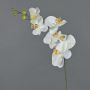 Rama decorativa de orquídea Phalaenopsis LANUA, crema, 75cm