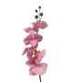 Rama decorativa de orquídea Phalaenopsis LANUA, rosa, 75cm