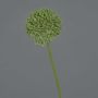 Allium artificial BAILIN, verde, 40cm