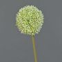 Allium artificial BAILIN, verde crema, 65cm