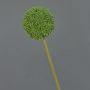 Allium artificial BAILIN, verde, 65cm