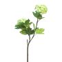 Rama decorativa de viburnum ALUO, verde claro, 50cm
